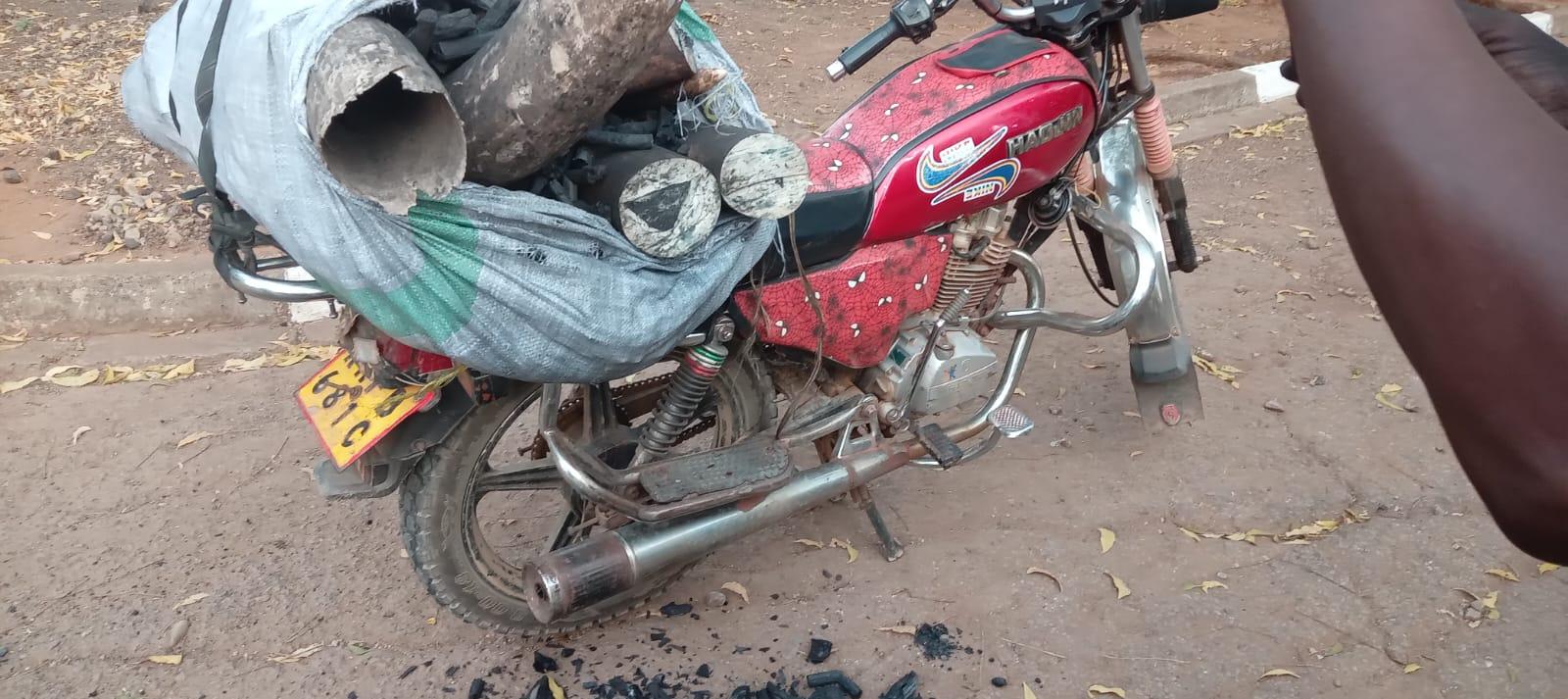 Two arrested as elephant tusks worth Sh5.8m seized