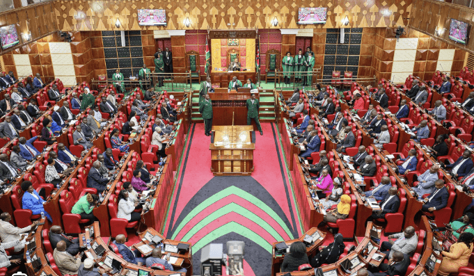 Parliament Review: Fight against femicide, GBV get a boost