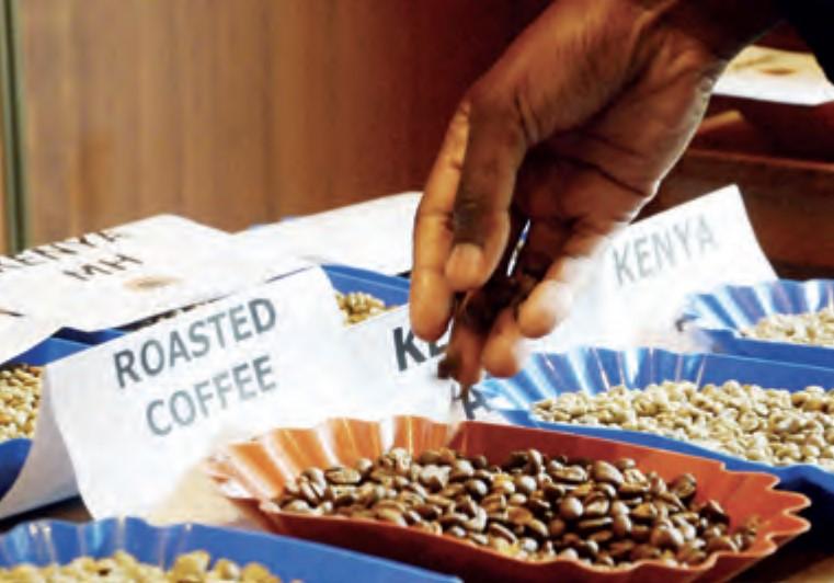 Gathungu flags irregularly banked Sh2.1bn coffee farmers’ cash