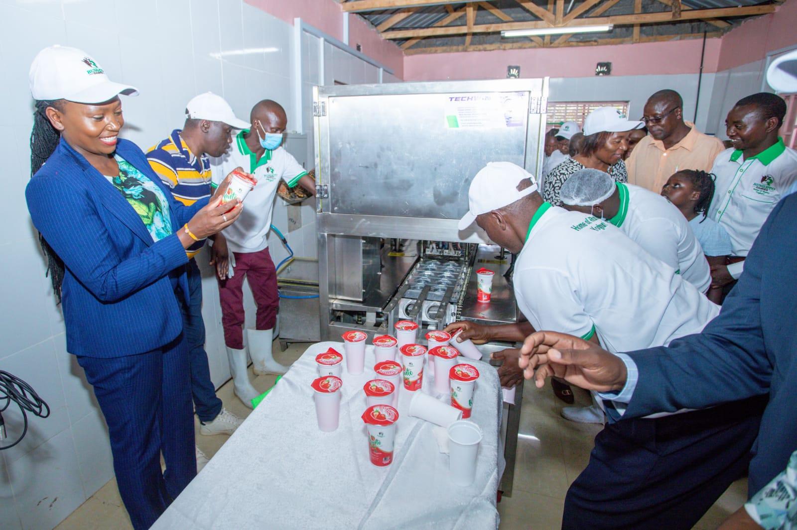 Kirinyaga farmers unveil new yoghurt product