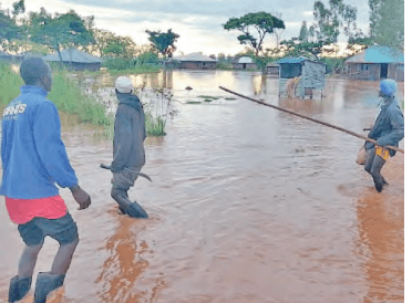 Floods wreak havoc, displace hundreds in Homa Bay villages