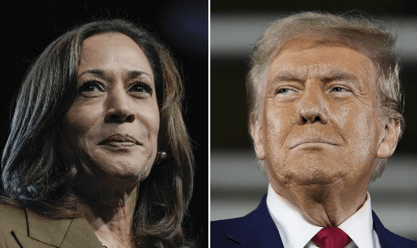 Trump, Harris spend $3.5 bn in most expensive presidential election