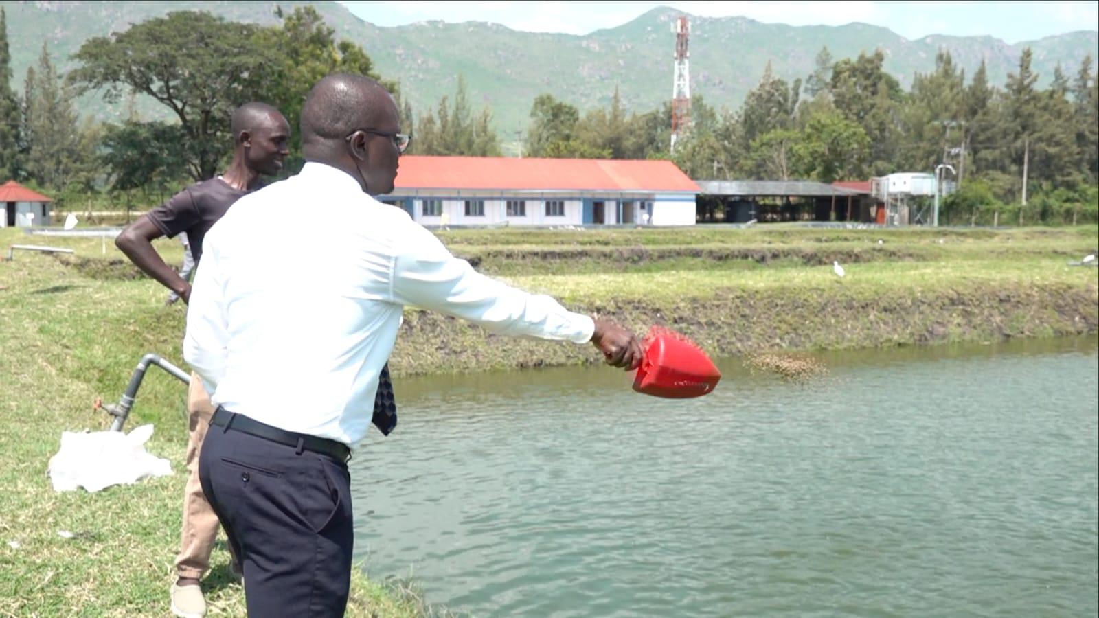 Kibos ITCC invests in modern fish farming technology to boost local aquaculture