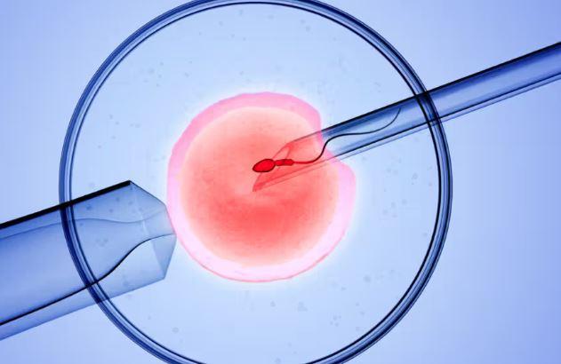 More single women, female couples in UK having IVF