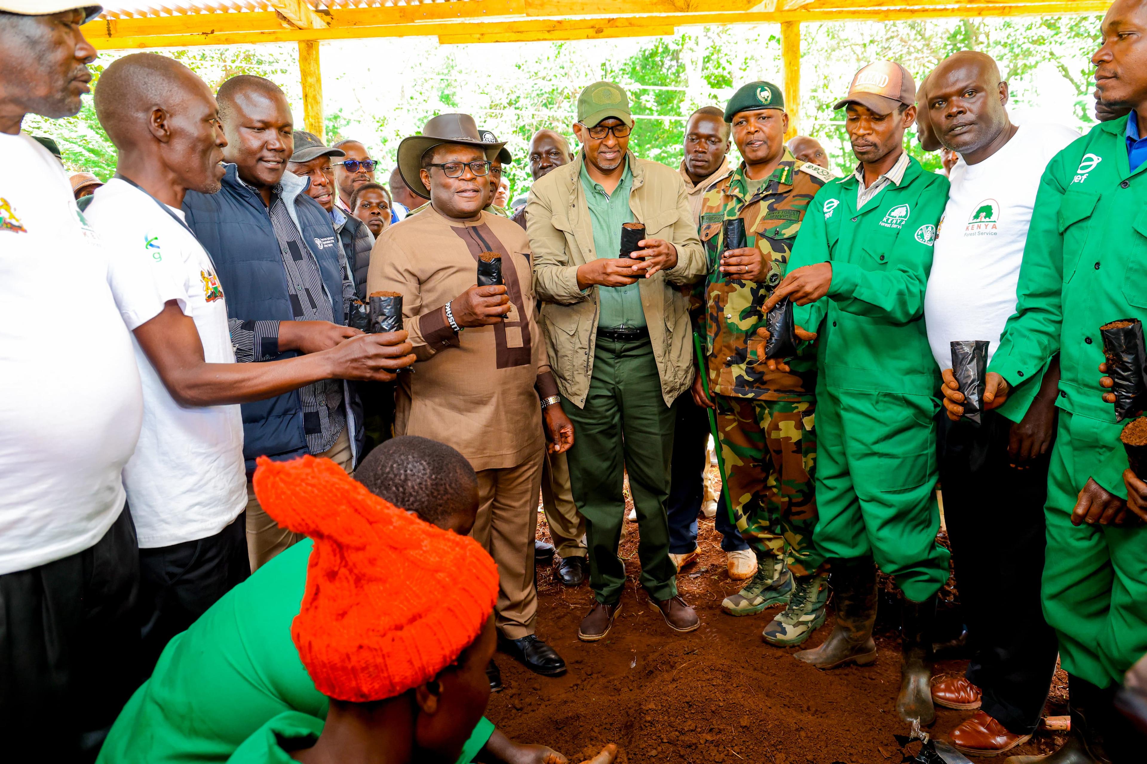 Kaberua tree nursery expanded to boost forest cover in Mt Elgon