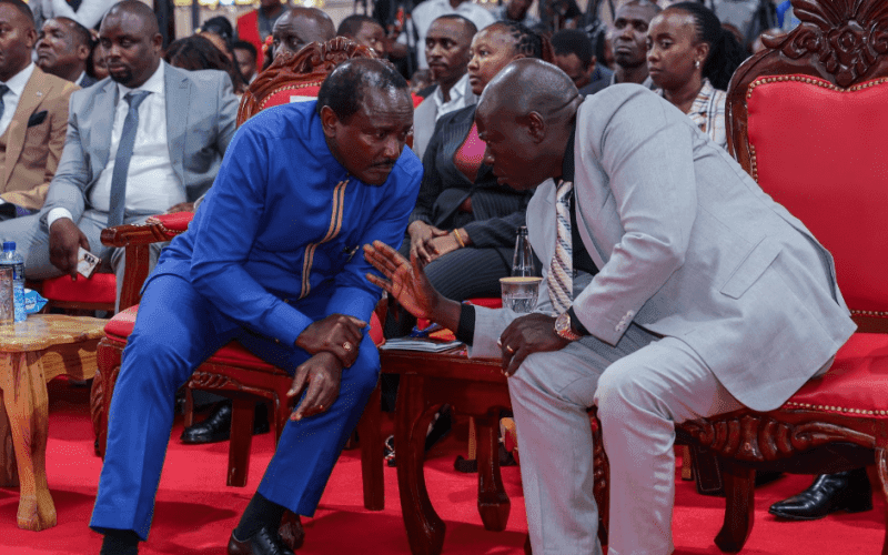 Riggy G, Kalonzo plot Ruto political revenge