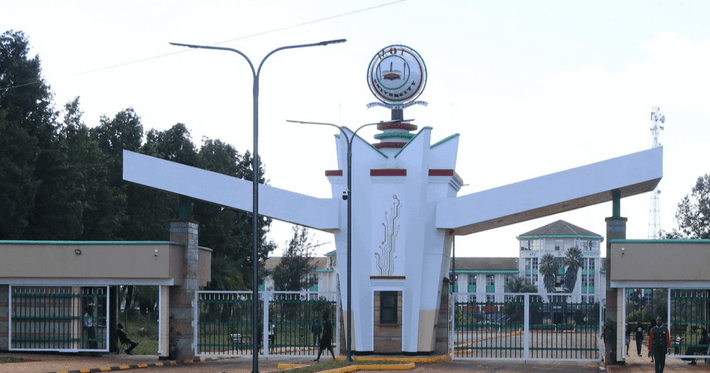 Moi University Council chair, members fired