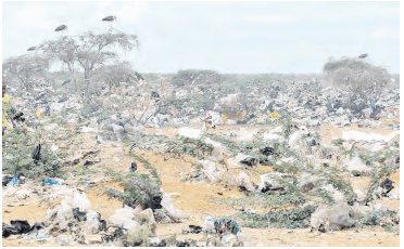 Call to reduce plastics, protect Kenyan women waste pickers