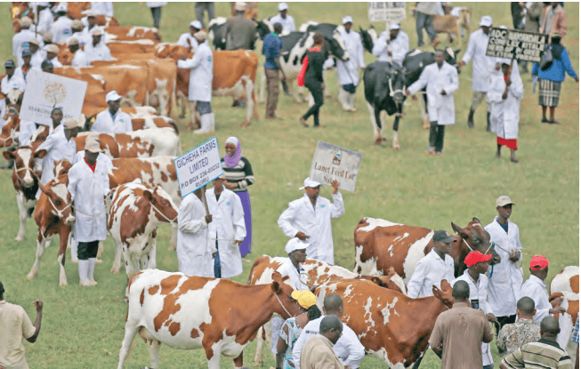 New livestock Bill to protect farmers from poor services