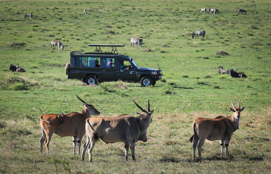 Kenya seeks to enhance ties with China in tourism, cultural sectors