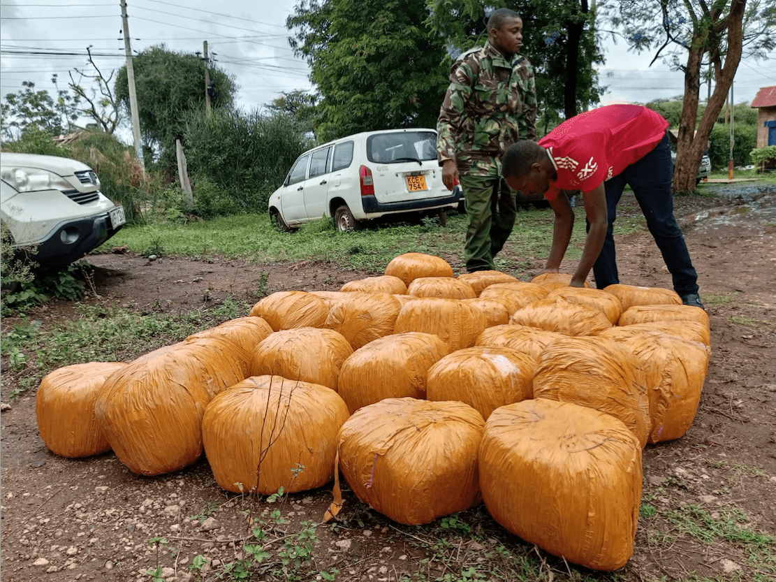 Key sources of bhang consumed in Kenya - Report