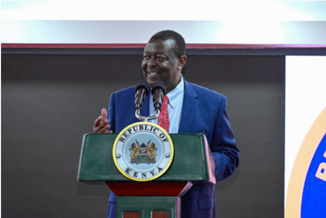 Mudavadi: MPs key in shaping foreign policy