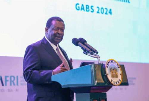 Mudavadi: Kenya’s partnership with German enterprises key for economic growth