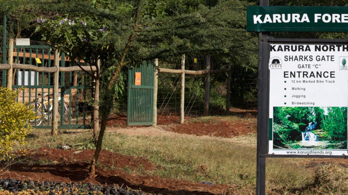 Green Belt sues state over hiving off Karura Forest for Kiambu Road expansion