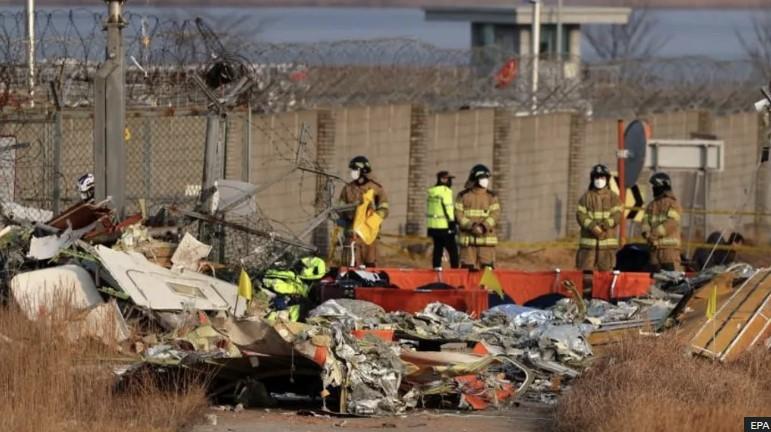 Did bird strike contribute to South Korea plane crash? What we know so far