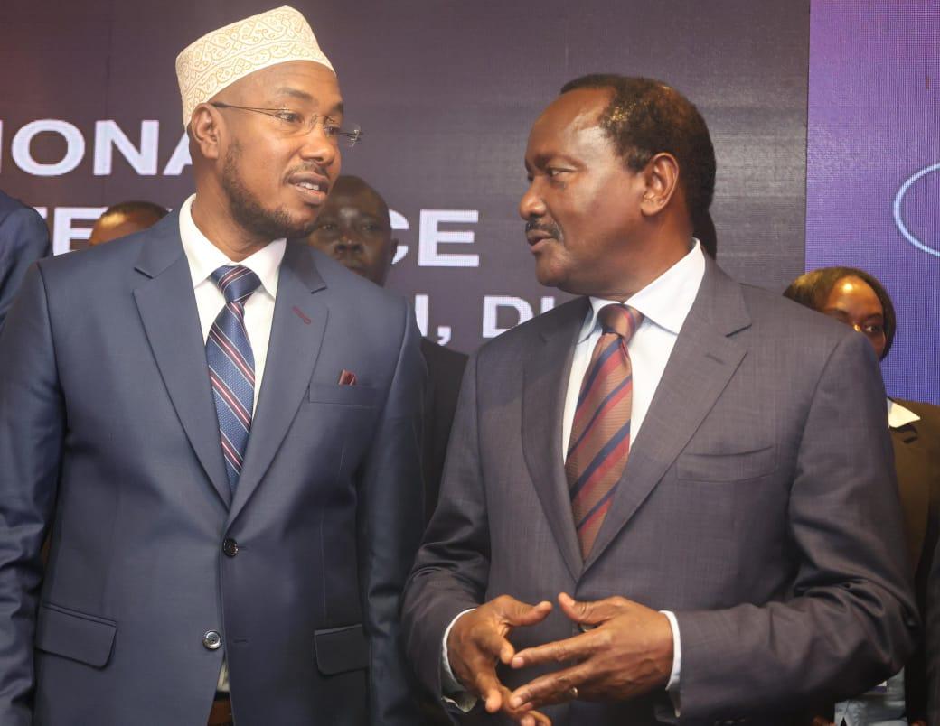 Kalonzo calls for urgent IEBC reconstitution