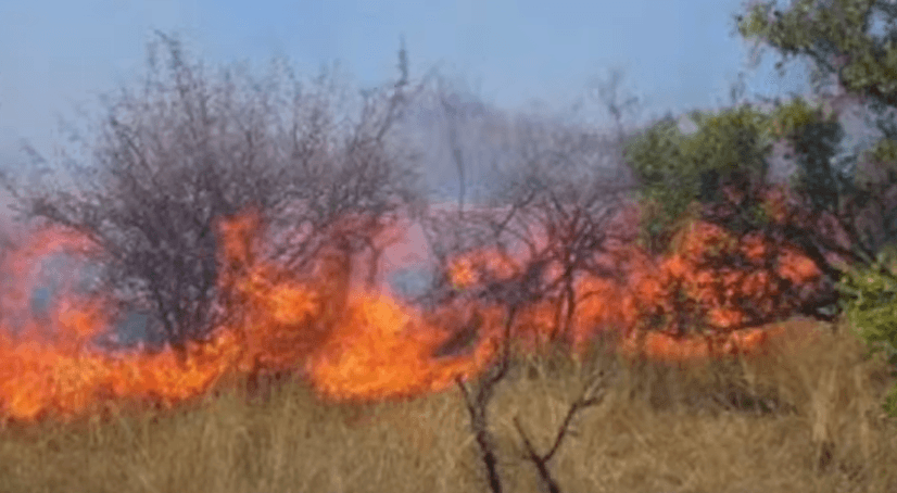 State urges caution as teams work to quench Isiolo fires