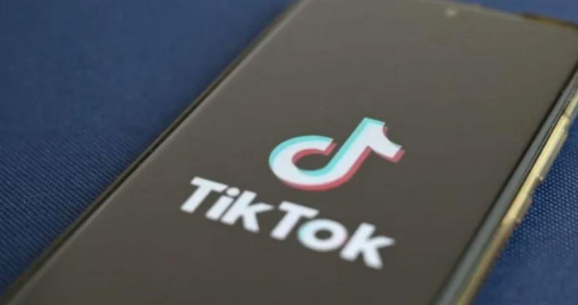 US teen shot dead by father in Pakistan over TikTok videos