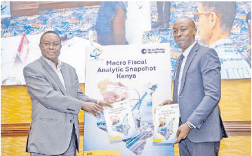 Kenya lacks capacity for more debt or global economic shocks – IPF