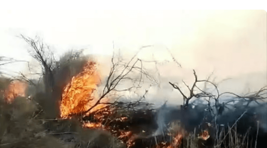 Wildfire destroy nearly 200,000 acres of grassland in Isiolo