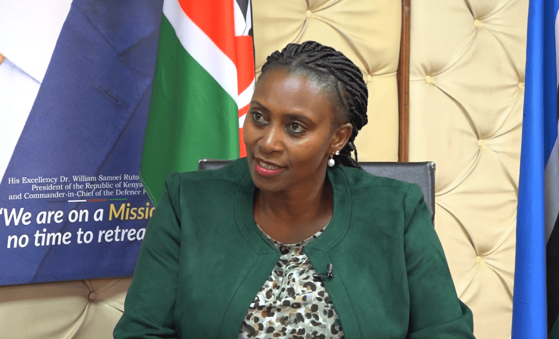 Kenya not at risk of HMPV flu outbreak - PS Muthoni