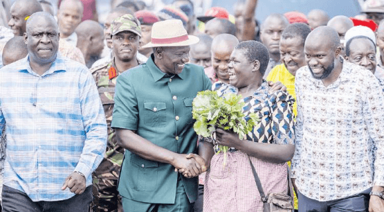 No place for shareholding politics in Kenya - Ruto