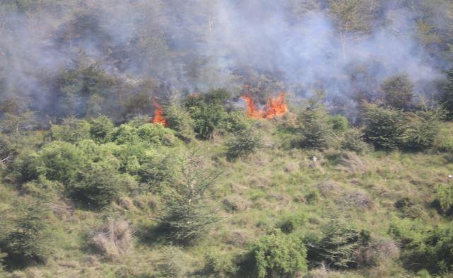 KFS announces new measures to deal with wildfires