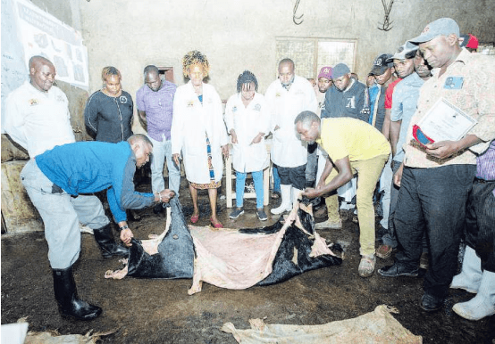 Kirinyaga butchers taught hides handling