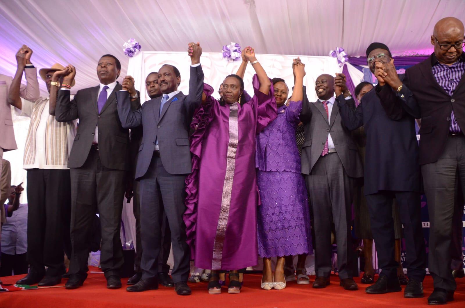 Top guns unite against Ruto’s second term bid