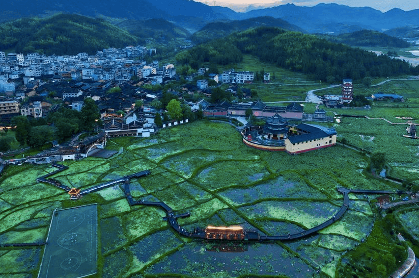 China steadily advances all-around rural revitalization