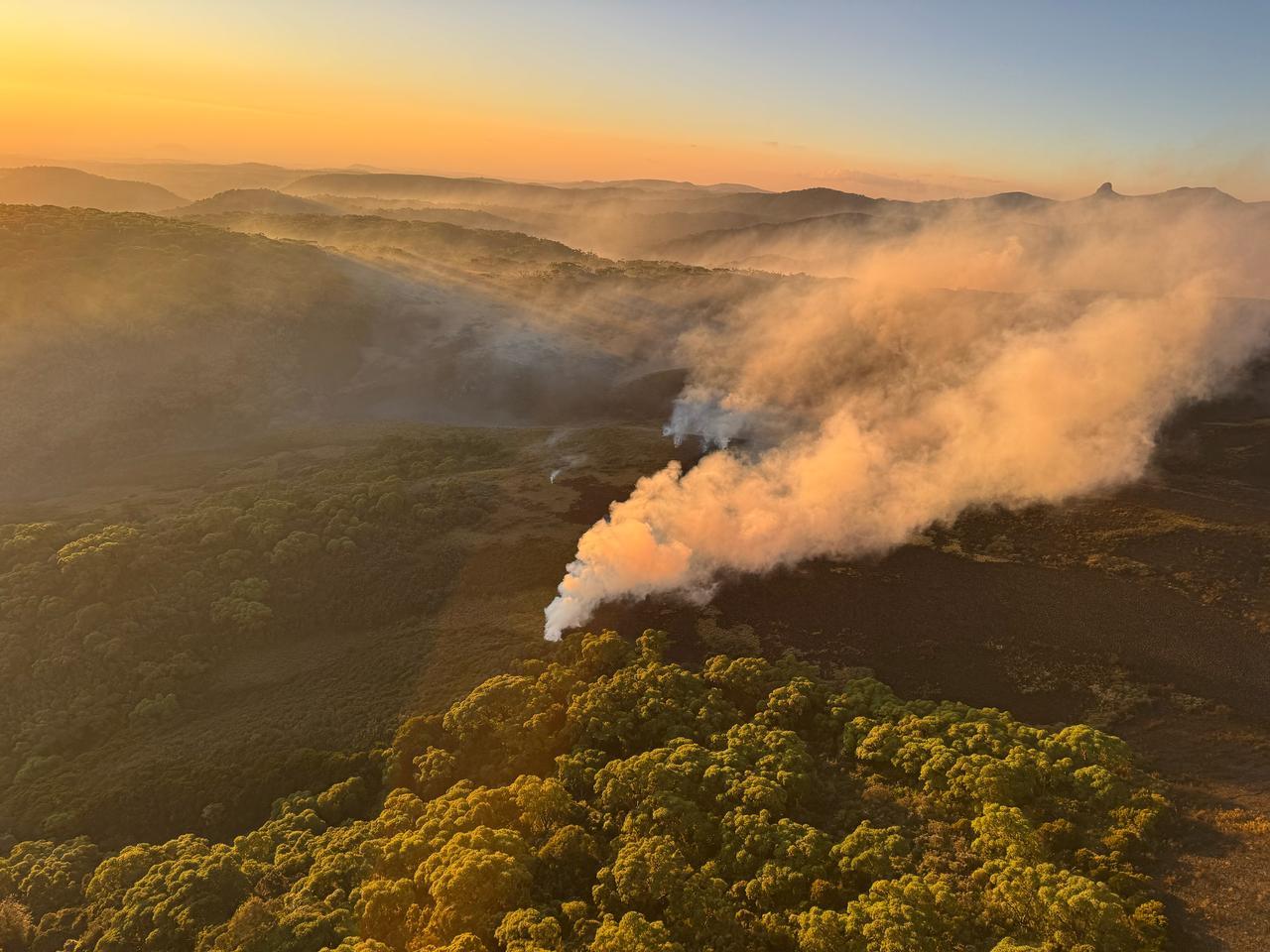 KWS, KFS officers join firefighters in Aberdare and Mt Kenya forests