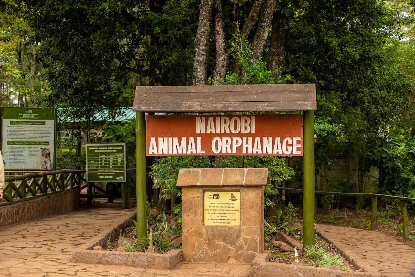 Nairobi Orphanage ranked most reviewed visitor attraction site