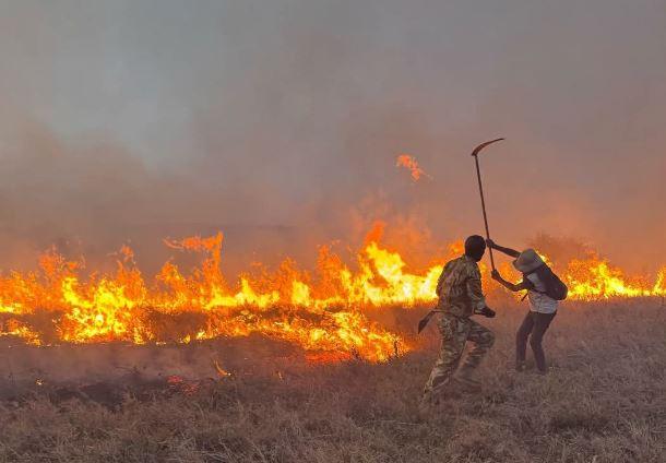 3-hour fire at Nairobi National Park contained