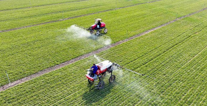 China adopts multiple measures to safeguard grain security