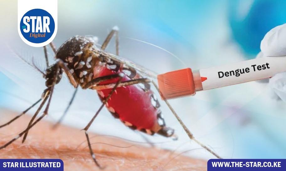 How to reduce your risk of Dengue Fever