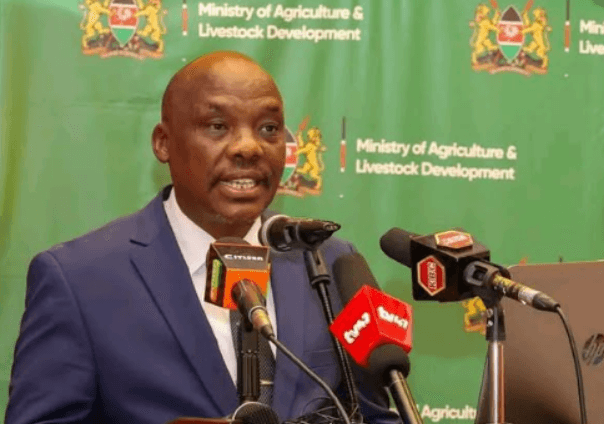 State announces new prices for maize seeds