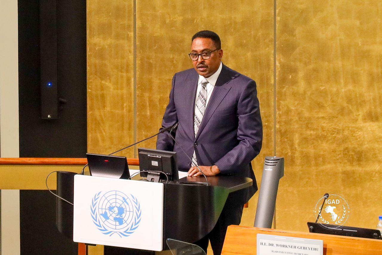 Focus on practical interventions will solve Sudan crisis – IGAD