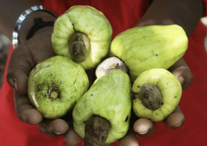 Ghana wants more for its cashews, but it's a tough nut to crack