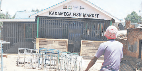 Something is fishy about Kakamega’s idle market, say traders