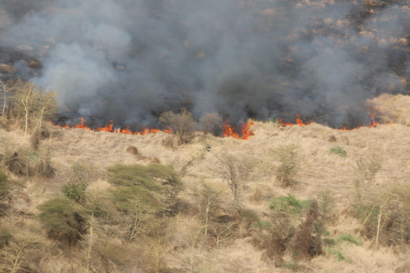 KFS suspends burning of vegetation near forests