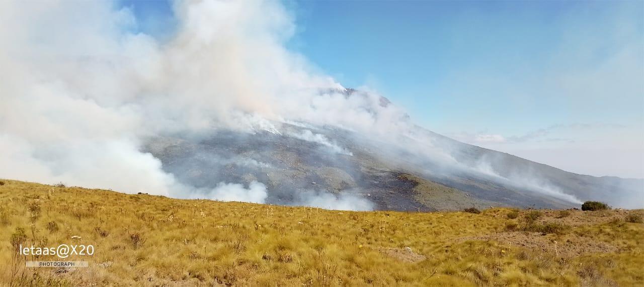 KWS: We’re racing against time to contain wildfires in parks