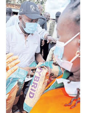 Trans Nzoia distributes free seeds to 8,000 small-scale farmers