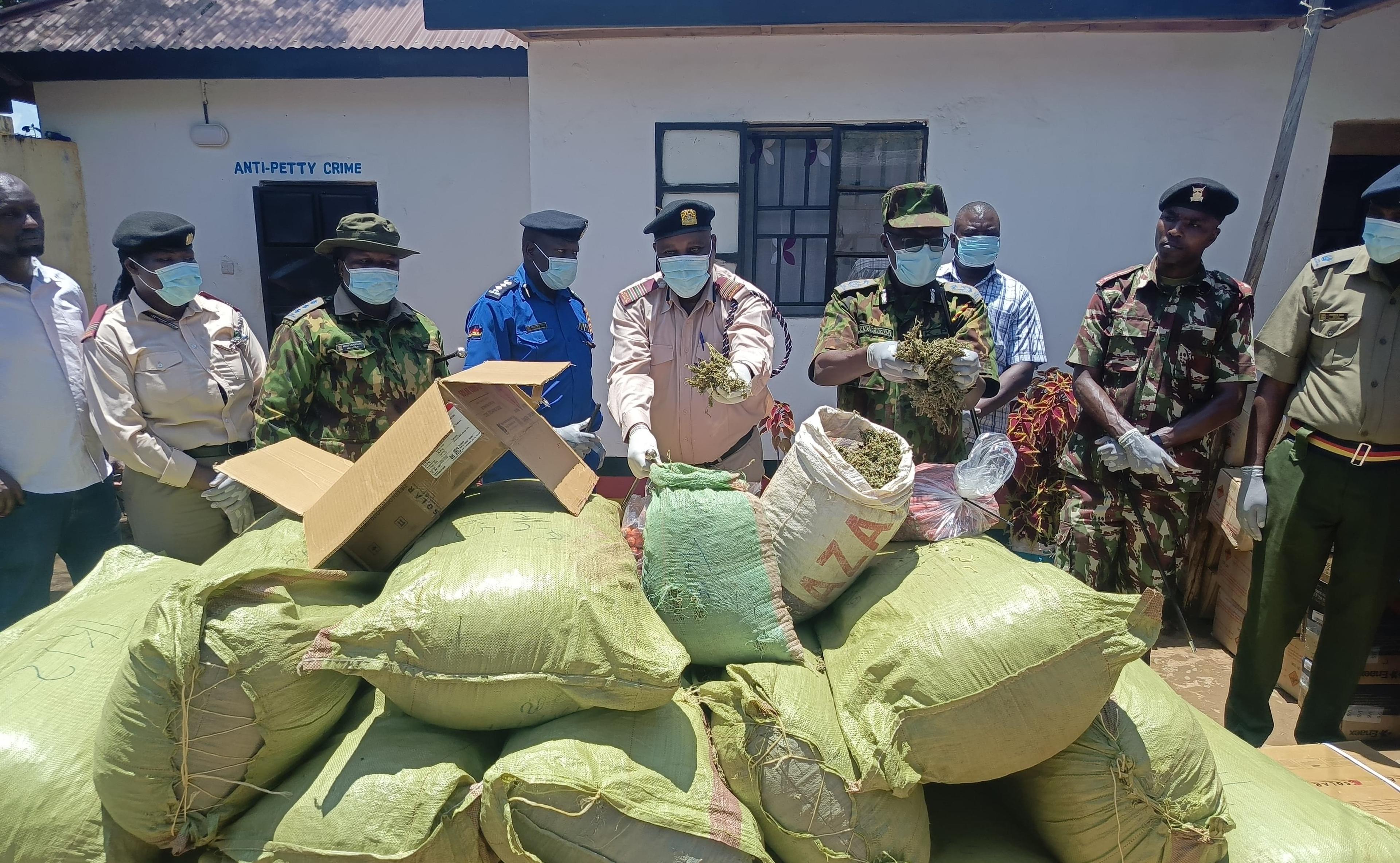 Woman, 23, arrested as cops seize 423kgs of bhang