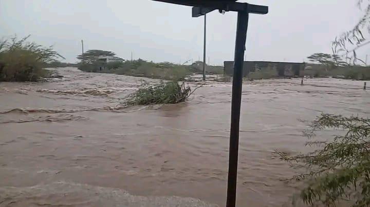 Loiyangalani residents lose houses, cattle after heavy rains