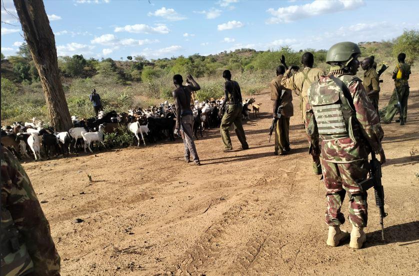 Operation launched after Baringo chief is shot dead