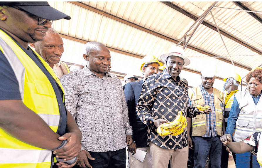 Ruto team unveils midterm scorecard