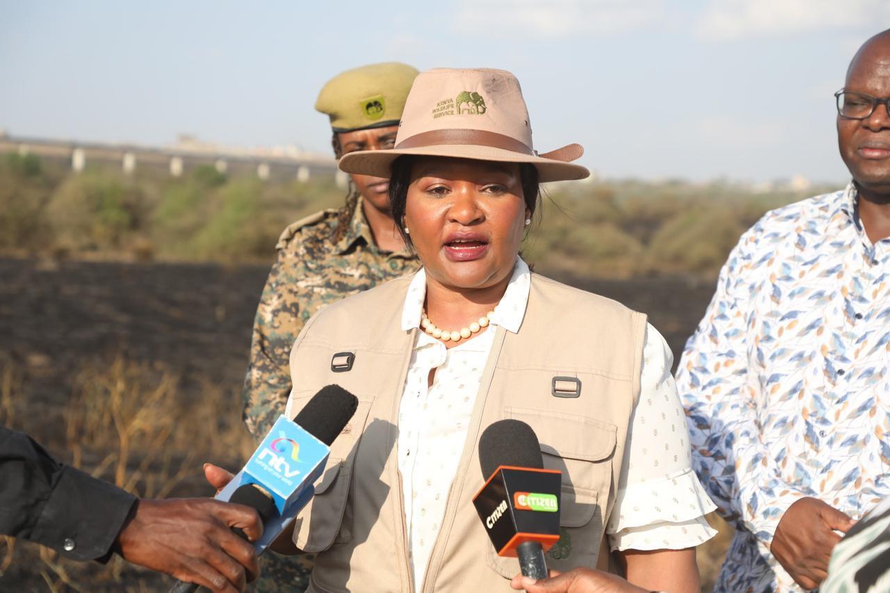 Fires in national parks contained - CS Miano