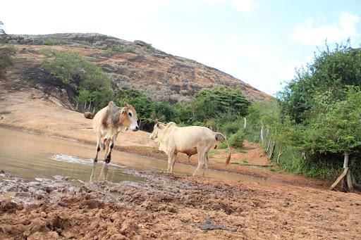 Mwingi earth dams desilted, easier to wash hands