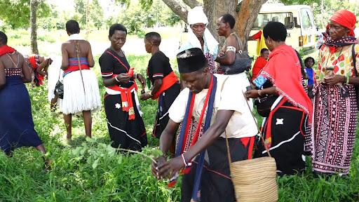 Mijikenda Kaya elders begin programme to plant 20 million trees