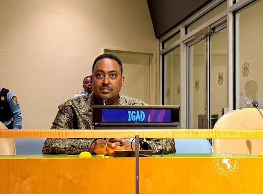 IGAD welcomes South Sudan's move to postpone elections by two years